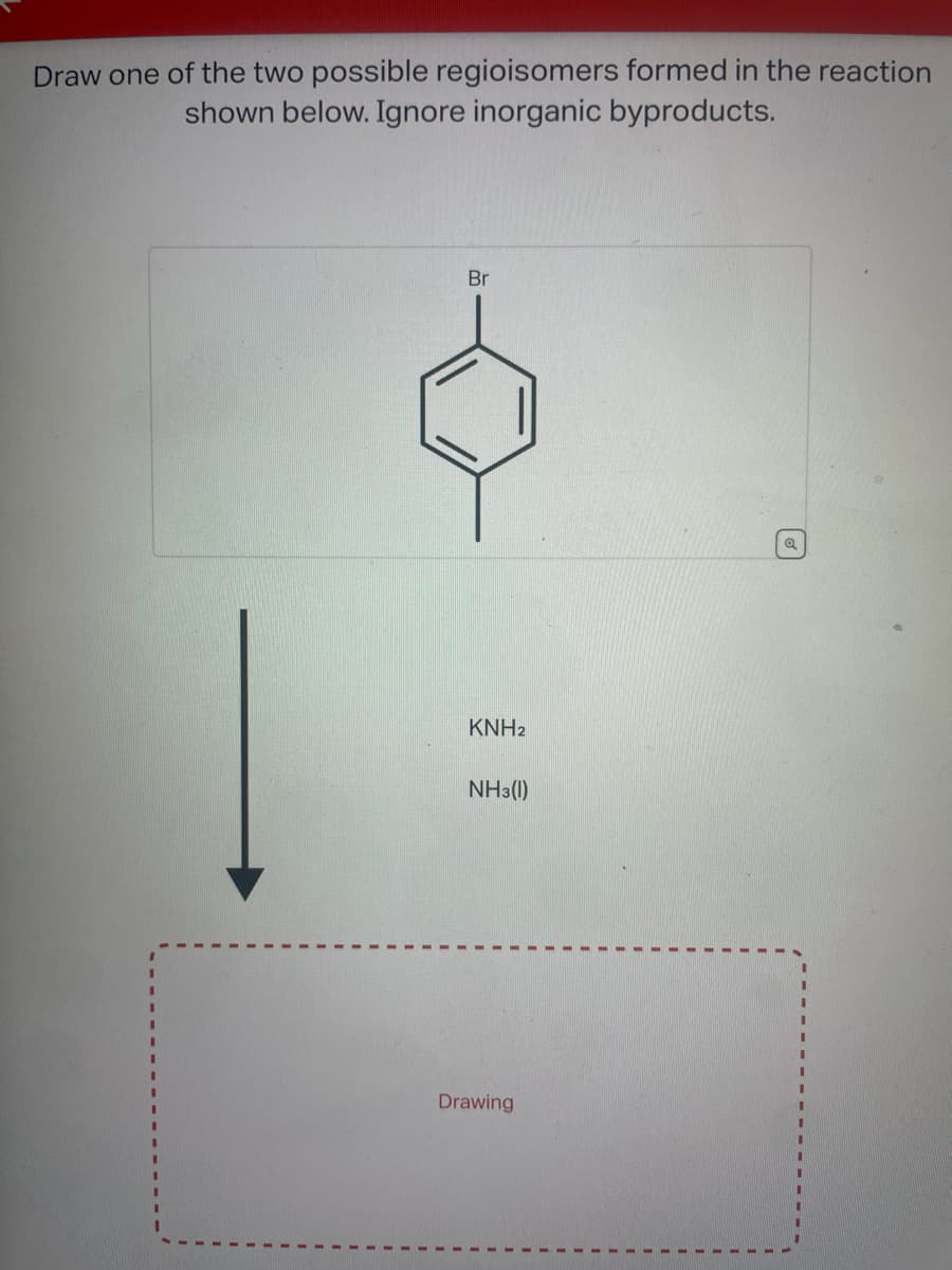 Draw one of the two possible regioisomers formed in the reaction
shown below. Ignore inorganic byproducts.
Br
KNH2
NH3(1)
Drawing
Q