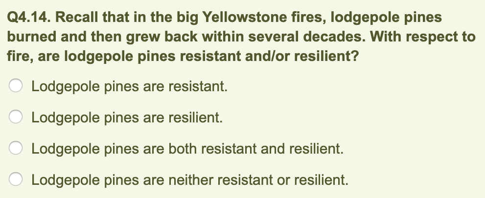 Q4.14. Recall that in the big Yellowstone fires, lodgepole pines
burned and then grew back within several decades. With respect to
fire, are lodgepole pines resistant and/or resilient?
Lodgepole pines are resistant.
Lodgepole pines are resilient.
Lodgepole pines are both resistant and resilient.
Lodgepole pines are neither resistant or resilient.