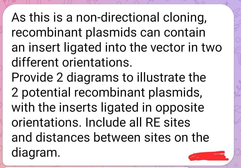 As this is a non-directional cloning,
recombinant plasmids can contain
an insert ligated into the vector in two
different orientations.
Provide 2 diagrams to illustrate the
2 potential recombinant plasmids,
with the inserts ligated in opposite
orientations. Include all RE sites
and distances between sites on the
diagram.