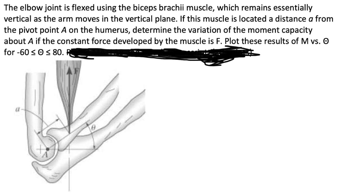 The elbow joint is flexed using the biceps brachii muscle, which remains essentially
vertical as the arm moves in the vertical plane. If this muscle located a distance a from
the pivot point A on the humerus, determine the variation of the moment capacity
about A if the constant force developed by the muscle is F. Plot these results of M vs. O
for-600≤ 80.