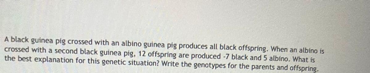 A black guinea pig crossed with an albino guinea pig produces all black offspring. When an albino is
crossed with a second black guinea pig, 12 offspring are produced -7 black and 5 albino. What is
the best explanation for this genetic situation? Write the genotypes for the parents and offspring.