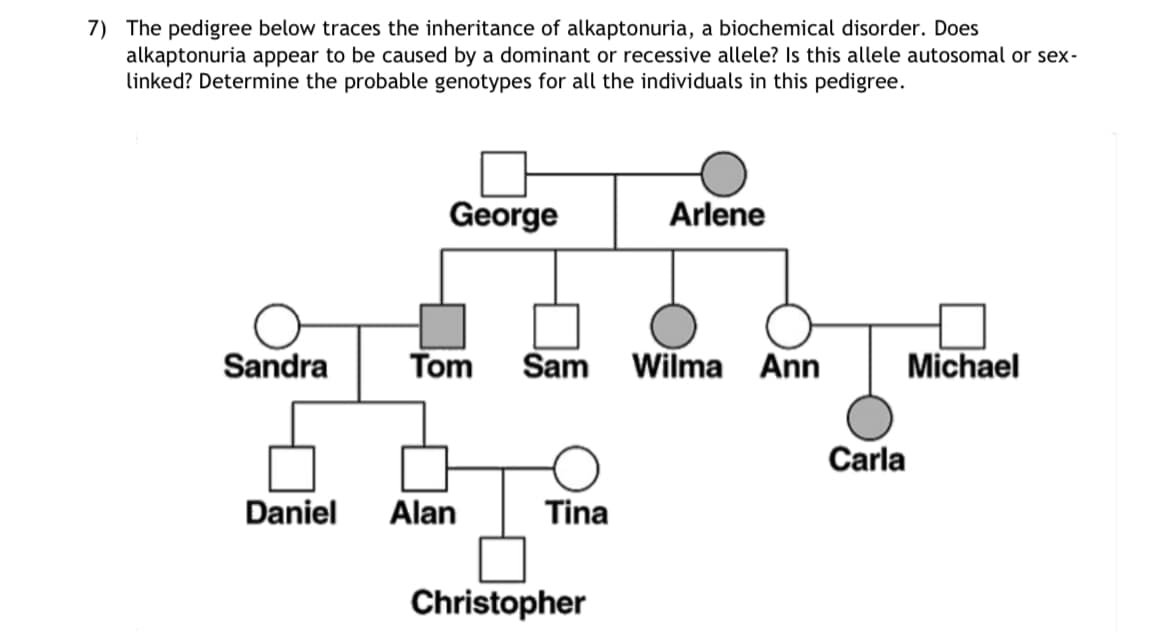 7) The pedigree below traces the inheritance of alkaptonuria, a biochemical disorder. Does
alkaptonuria appear to be caused by a dominant or recessive allele? Is this allele autosomal or sex-
linked? Determine the probable genotypes for all the individuals in this pedigree.
Sandra
Daniel
George
Tom Sam Wilma Ann
Alan
Tina
Arlene
Christopher
Carla
Michael