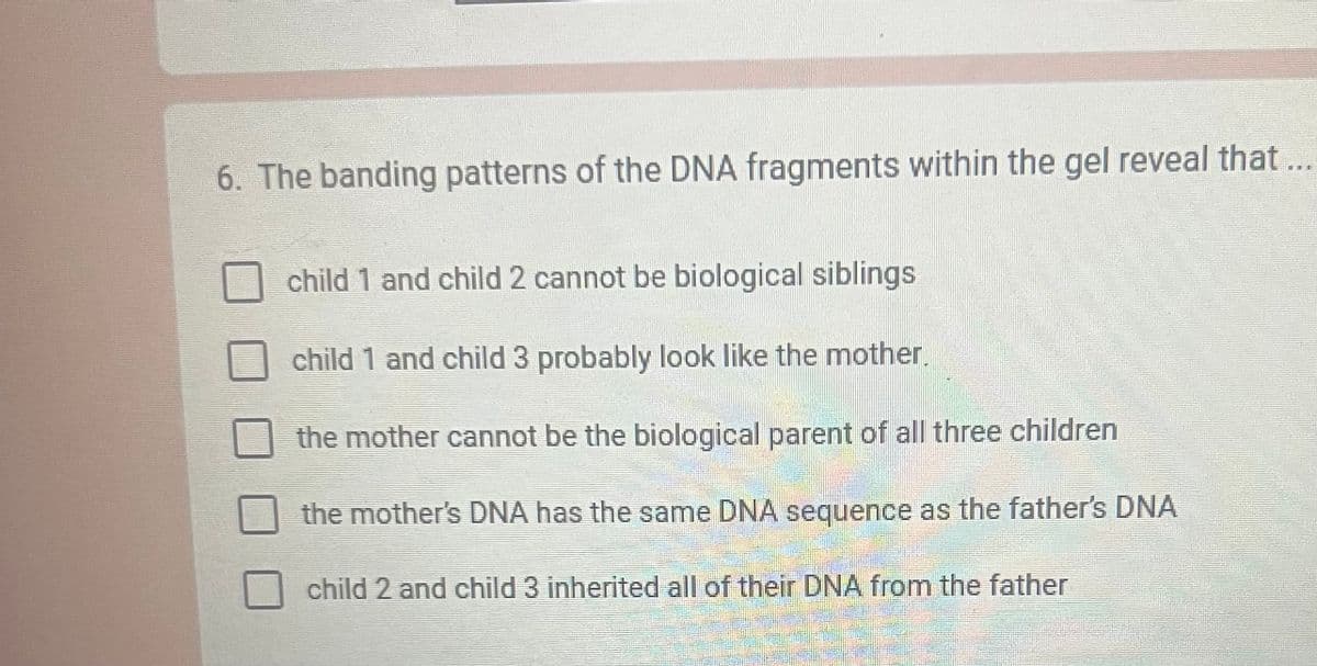 6. The banding patterns of the DNA fragments within the gel reveal that...
child 1 and child 2 cannot be biological siblings
child 1 and child 3 probably look like the mother.
the mother cannot be the biological parent of all three children
the mother's DNA has the same DNA sequence as the father's DNA
child 2 and child 3 inherited all of their DNA from the father