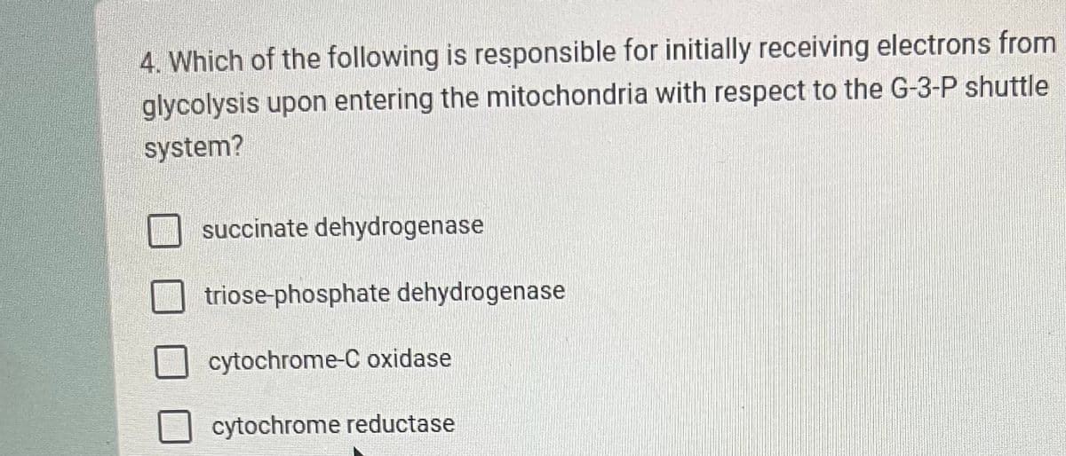 4. Which of the following is responsible for initially receiving electrons from
glycolysis upon entering the mitochondria with respect to the G-3-P shuttle
system?
succinate dehydrogenase
triose-phosphate dehydrogenase
cytochrome-C oxidase
cytochrome reductase