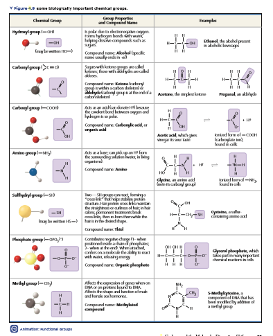 V Figure 4.0 some blolegically Impertant chemical groupa.
Gp Ppertes
and Copound Mane
chemkal Group
Exampks
s pokr de e gen
turm hydagen bandi wth wnt
heping desile compound sudh as
saja
Compound nome Akolol Epeok
nami uly endhin
mydrayl grap-Cn
Ethunl te akohol present
inakoh bevagi
-OH
Irmybewtim H-
Carbonylgroup>=
Supsweth kekone goups ae cikd
bn, fhoe wih asfyan caled
dos
HO
Compel e Ketn ater
kwetenaebon skelekon
dyllongouph tndola Aton, thepk kakane
caterdekka
Propanal, anaktyde
Acssanadndane H0 beae
he Oket bond tetwnoymand
Carbonyl group -Coc
hydegnh wple
Compoundrame: Carbonylkad, or
Aetk acd whihgs
vireg Lete
konked formof -COCH
fortolae kr
foundinak
Acssabe cnpekupan fom
he suundig sokion was, in ing
getl.
Amino group-M)
+ H
IN-
Compound rame: Amine
Glycne, ana ad
kred komol-NI,
kundinoh
Sallydryl group-s0
"ooskfs stu pron
aua ar pohas i msan
hea oraresol lin
skns p tners bek
aonrk, tenkam item whe the
- SH
Cysteine, audis
cintngamino acd
H--CHy91
Insay be witen HS- haish fedsed stape
Campndn Thal
Mhophute group-oro
OH OH H
corfes ona mokoe the abily to t
with w, gmay
dlyomal phophate,
H-C-C-c-D--o s patin minyimportant
chemal men nh
-0--0
Compound rame: Organk phosphute
HHH
Afeds the opresskonolgneswhenon
DA on p bodo NA
Asctuite hd hanction ofmu
and ferele she s
Methyl group -o)
S-Methykyte
omporentol DNA du hn
berimdidby anot
a goup
CH
Compound num Methylated
compound
O Animaticn: untianal aroups
