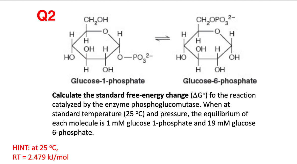 Q2
CH,OH
CH,OPO,2-
H
H
OH H
OH
0-PO,2-
но
но
OH
H.
OH
OH
Glucose-1-phosphate
Glucose-6-phosphate
Calculate the standard free-energy change (AG°) fo the reaction
catalyzed by the enzyme phosphoglucomutase. When at
standard temperature (25 °C) and pressure, the equilibrium of
each molecule is 1 mM glucose 1-phosphate and 19 mM glucose
6-phosphate.
HINT: at 25 °C,
RT = 2.479 kJ/mol
