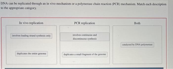 can be replicated through an in vivo mechanism or a polymerase chain reaction (PCR) mechanism. Match each description
to the appropriate category.
DNA
In vivo replication
involves leading strand synthesis only
duplicates the entire genome
PCR replication
involves continuous and
discontinuous synthesis
duplicates a small fragment of the genome
Both
catalyzed by DNA polymerase