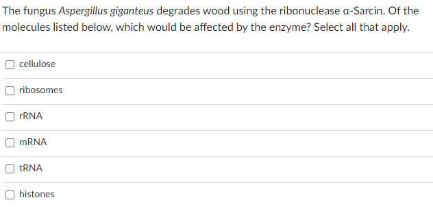 The fungus Aspergillus giganteus degrades wood using the ribonuclease a-Sarcin. Of the
molecules listed below, which would be affected by the enzyme? Select all that apply.
cellulose
ribosomes
rRNA
mRNA
tRNA
histones