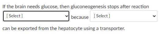 If the brain needs glucose, then gluconeogenesis stops after reaction
[Select]
because [Select]
can be exported from the hepatocyte using a transporter.