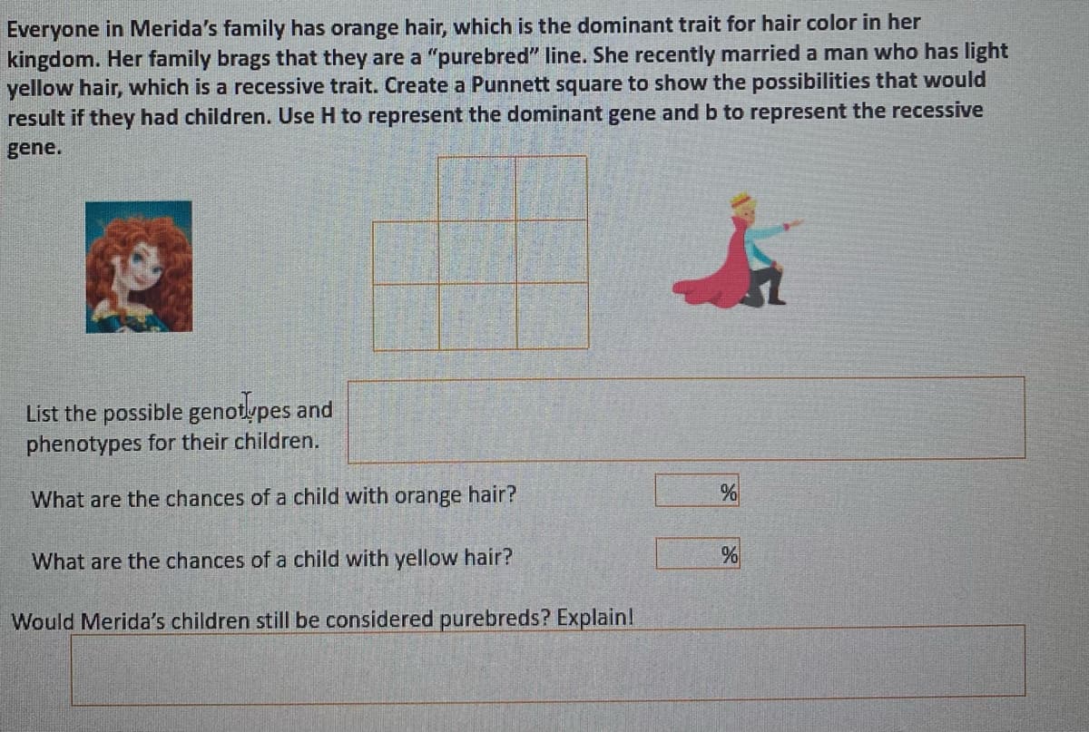 Everyone in Merida's family has orange hair, which is the dominant trait for hair color in her
kingdom. Her family brags that they are a "purebred" line. She recently married a man who has light
yellow hair, which is a recessive trait. Create a Punnett square to show the possibilities that would
result if they had children. Use H to represent the dominant gene and b to represent the recessive
gene.
List the possible genotypes and
phenotypes for their children.
What are the chances of a child with orange hair?
What are the chances of a child with yellow hair?
Would Merida's children still be considered purebreds? Explain!

