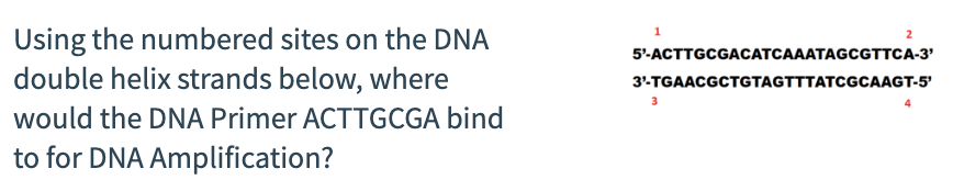 Using the numbered sites on the DNA
double helix strands below, where
would the DNA Primer ACTTGCGA bind
to for DNA Amplification?
1
5'-ACTTGCGACATCAAATAGCGTTCA-3'
3¹-TGAACGCTGTAGTTTATCGCAAGT-5'
3