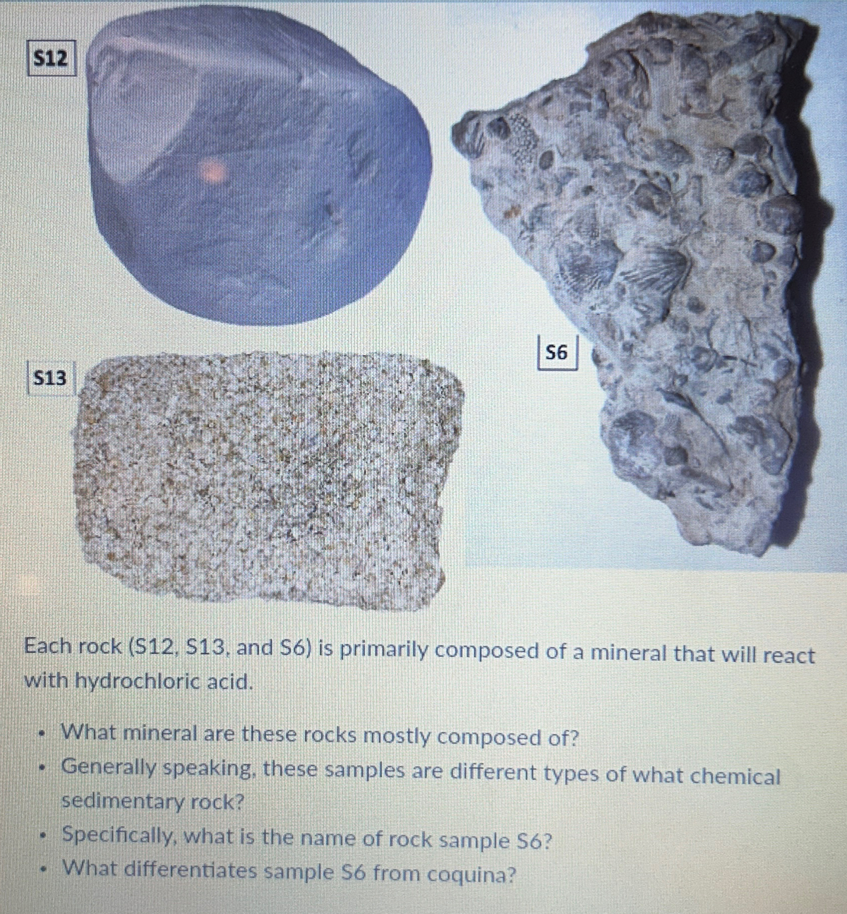 $12
$13
S6
Each rock (S12, S13, and S6) is primarily composed of a mineral that will react
with hydrochloric acid.
. What mineral are these rocks mostly composed of?
Generally speaking, these samples are different types of what chemical
sedimentary rock?
Specifically, what is the name of rock sample $6?
. What differentiates sample S6 from coquina?
