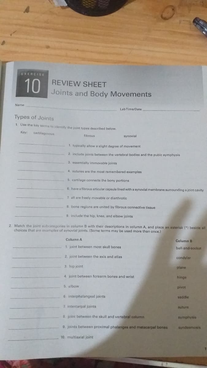 EXERCISE
10
REVIEW SHEET
Joints and Body Movements
Name
Lab Time/Date
Types of Joints
1. Use the key terms to identify the joint types described below.
Key:
cartilaginous
fibrous
synovial
1. typically allaw a slight degree of movement
2. include joints between the vertebral bodies and the pubic symphysis
3. essentially immovable joints
4. sutures are the most remembered examples
5. cartilage connects the bony portions
6. have a fibrous articular capsule lined with a synovial membrane surrounding a joint cavity
7. all are freely movable or diarthrotic
8. bone regions are united by fibrous connective tissue
9. include the hip, knee, and elbow joints
2. Match the joint subcategories in column B with their descriptions in column A, and place an asterisk (*) beside all
choices that are examples of synovial joints. (Some terms may be used more than once.)
Column A
Column B
1. joint between most skull bones
ball-and-socket
2. joint between the axis and atlas
condylar
3. hip joint
plane
4. joint between forearm bones and wrist
hinge
5. elbow
pivot
6. interphalangeal joints
saddle
7. intercarpal joints
suture
8. joint between the skull and vertebral column
symphysis
9. joints between proximal phalanges and metacarpal bones
syndesmosis
10. multiaxial joint
