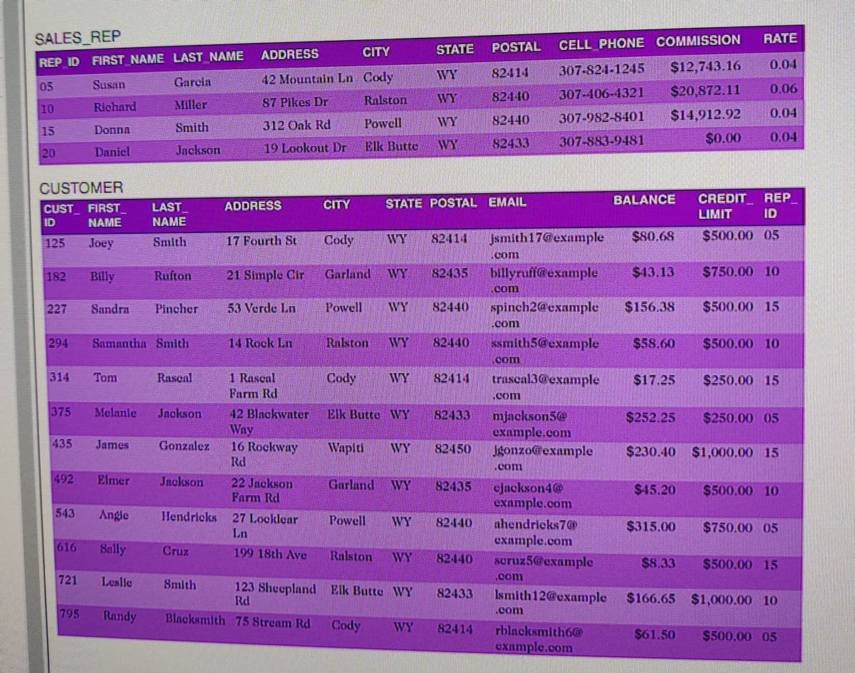 SALES REP
RATE
POSTAL
CELL PHONE COMMISSION
CITY
STATE
ADDRESS
REP ID FIRST NAME LAST NAME
0,04
WY
82414
307-824-1245
$12,743.16
Susan
Garcia
42 Mountain Ln Cody
05
82440
307-406-4321
$20,872.11
0.06
Miller
87 PIkes Dr
Ralston
WY
10
Richard
$14,912.92
0.04
Powell
WY
82440
307-982-8401
15
Donna
Smith
312 Oak Rd
Elk Butte
WY
82433
307-883-9481
S0.00
0.04
20
Daniel
Jackson
19 Lookout Dr
CUSTOMER
CITY
STATE POSTAL EMAIL
BALANCE
CREDIT REP
ADDRESS
CUST FIRST_
ID
LAST
NAME
LIMIT
ID
NAME
125
Joey
17 Fourth St
Cody
WY
82414
Jkmlth17@exmple
S80.68
$500.00 05
Smith
Com
182
Billy
Rufton
21 Simple Cir
Garland WY
82435
billyrufi@example
$13.13
$750.00 10
:Com.
227
Bandra
Pincher
53 Verde Ln
Powell
WY
82440
spinch2@example
$156.38
$500.00 15
com
294
Samantha Smith
14 Rock Ln
Ralston
WY
82440
ssmith5@exnmple
$58.60
$500.00 10
Com
Rasenl
1 Raseal
Рarm Rd
Cody
314
Tom
WY
82414
traseal3@example
$17.25
$250.00 15
.com
375
Melanle
Jnokson
42 Blaokwater
Way
16 Rockwny
Rd
Elk Butte WY
mjackson5@
example.com
Jgonzo@example
82433
$252.25
$250.00 05
435
James
Gonzalez
Waplti
WY
82450
$230.40 $1,000.00
15
com
492
Elmer
Jackson
22 Jnckson
Farm Rd
Garland
WY
82435
ejackson4@
example.com
nhendricks7@
example.com
soruz5@example
$45.20
$500.00 10
543
Angle
Hendricks
27 Locklear
Ln
Powell
WY
82440
$315.00
$750.00 05
616
Sally
Cruz
199 18th Ave
Ralston
WY
82440
$8.33
S500,00 15
721
Leslie
Smith
con
123 Sheepland Elk Butte WVY
Rd
82433
Ismith12@example
$166.65 $1,000.00 10
795
Randy
Blacksmith 75 Stream Rd
Cody
com
WY
82414
rblacksmith6O
Oxnmple.com
$61.50
S500.00 05
