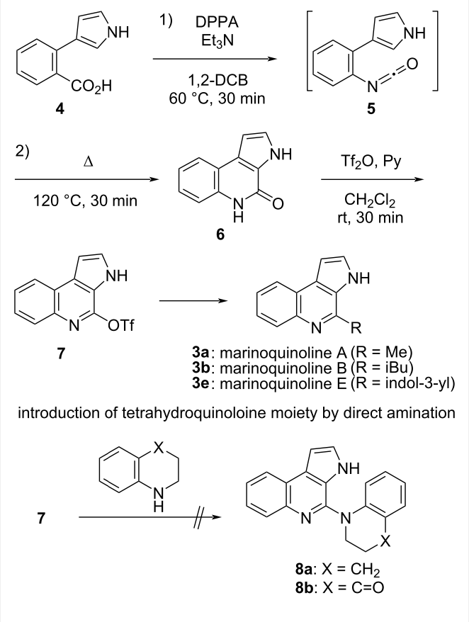 1)
EtzN
DPPA
NH
NH
1,2-DCB
60 °C, 30 min
CO2H
N=:=0
4
5
2)
NH
A
Tf20, Py
CH2CI2
rt, 30 min
120 °C, 30 min
'N'
NH
NH
'N'
OTf
R
3a: marinoquinoline A (R = Me)
3b: marinoquinoline B (R = iBu)
3e: marinoquinoline E (R = indol-3-yl)
7
introduction of tetrahydroquinoloine moiety by direct amination
NH
H
7
`N'
8a: X = CH2
8b: X = C=0
