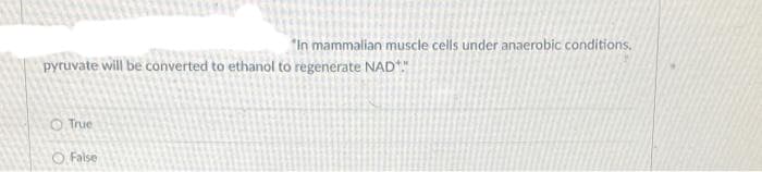 "In mammalian muscle cells under anaerobic conditions.
pyruvate will be converted to ethanol to regenerate NAD"
O True
O False

