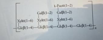 L-Fuca(1-2)
GalB(1-2) GalB(1-2)
Xyla(1-6) Xyla( 1-6) Xyla(1-6)
GleB(1-4)-GleB(1-4)-GlB(1-4)-Gleß(14)
