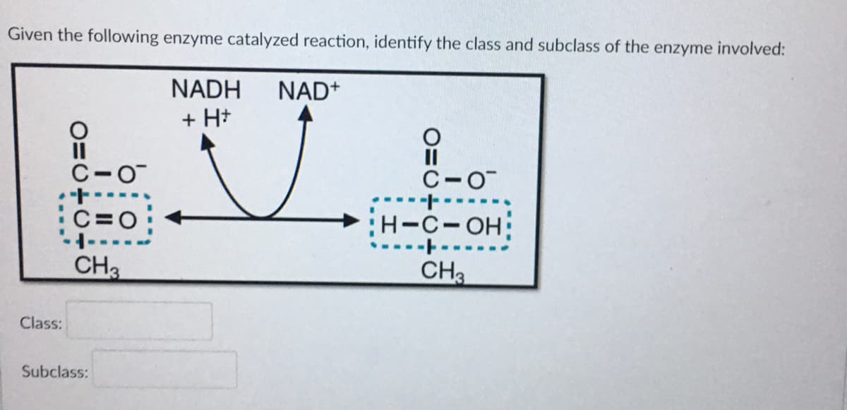 Given the following enzyme catalyzed reaction, identify the class and subclass of the enzyme involved:
NADH
NAD+
+ H+
C-O
C-O
C=0
H-C-OH:
CH
CHạ
Class:
Subclass:
