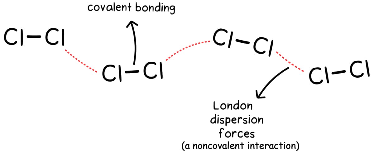 CI-CI
covalent bonding
CI-CI
CI-CI-
London
dispersion
forces
(a noncovalent interaction)
CI-CI