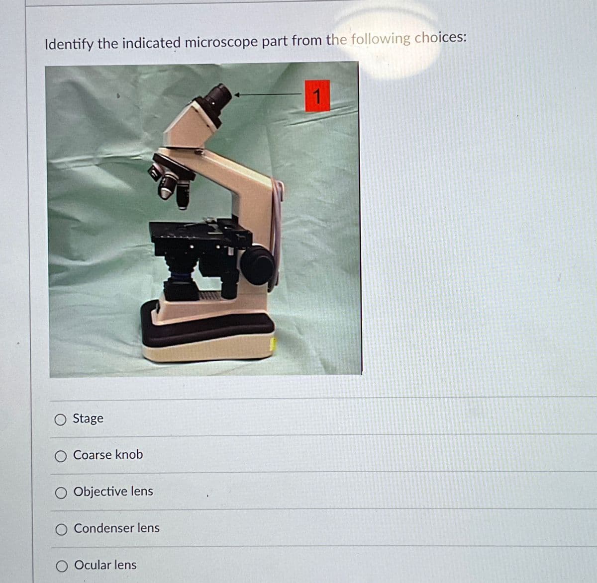 Identify the indicated microscope part from the following choices:
○ Stage
O Coarse knob
O Objective lens
Condenser lens
O Ocular lens