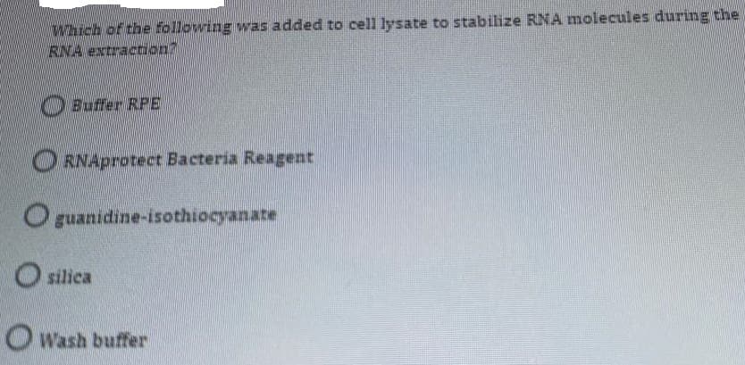 Which of the following was added to cell lysate to stabilize RNA molecules during the
RNA extractoon
O Buffer RPE
ORNAprotect Bacteria Reagent
O guanidine-isothiocyanate
O silica
OWash buffer
