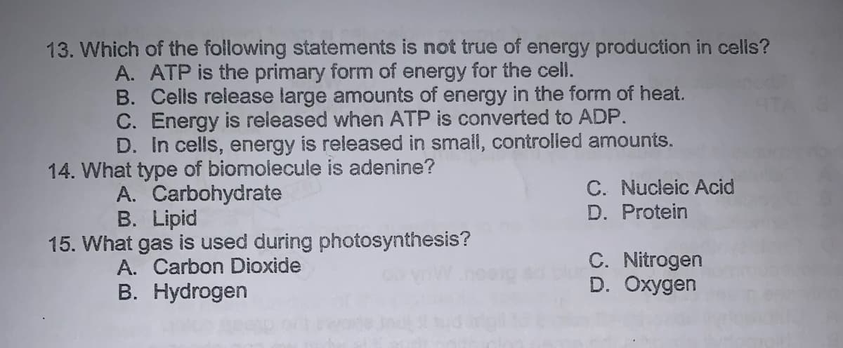 13. Which of the following statements is not true of energy production in cells?
A. ATP is the primary form of energy for the cell.
B. Cells release large amounts of energy in the form of heat.
C. Energy is released when ATP is converted to ADP.
D. In cells, energy is released in small, controlled amounts.
14. What type of biomolecule is adenine?
A. Carbohydrate
B. Lipid
C. Nucleic Acid
D. Protein
15. What gas is used during photosynthesis?
A. Carbon Dioxide
B. Hydrogen
C. Nitrogen
D. Oxygen
