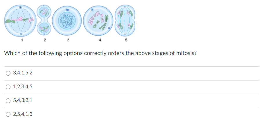 2
5
Which of the following options correctly orders the above stages of mitosis?
3,4,1,5,2
O 1,2,3,4,5
5,4,3,2,1
O 2,5,4,1,3
