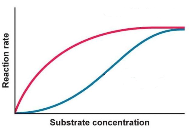 Substrate concentration
Reaction rate
