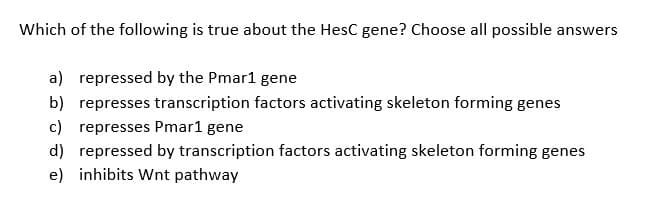 Which of the following is true about the HesC gene? Choose all possible answers
a) repressed by the Pmar1 gene
b) represses transcription factors activating skeleton forming genes
c) represses Pmar1 gene
d) repressed by transcription factors activating skeleton forming genes
e) inhibits Wnt pathway