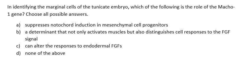 In identifying the marginal cells of the tunicate embryo, which of the following is the role of the Macho-
1 gene? Choose all possible answers.
a) suppresses notochord induction in mesenchymal cell progenitors
b) a determinant that not only activates muscles but also distinguishes cell responses to the FGF
signal
c) can alter the responses to endodermal FGFs
d) none of the above
