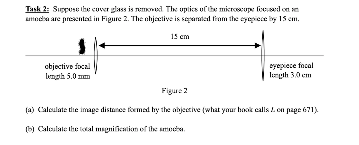 Task 2: Suppose the cover glass is removed. The optics of the microscope focused on an
amoeba are presented in Figure 2. The objective is separated from the eyepiece by 15 cm.
objective focal
length 5.0 mm
15 cm
Figure 2
eyepiece focal
length 3.0 cm
(a) Calculate the image distance formed by the objective (what your book calls L on page 671).
(b) Calculate the total magnification of the amoeba.