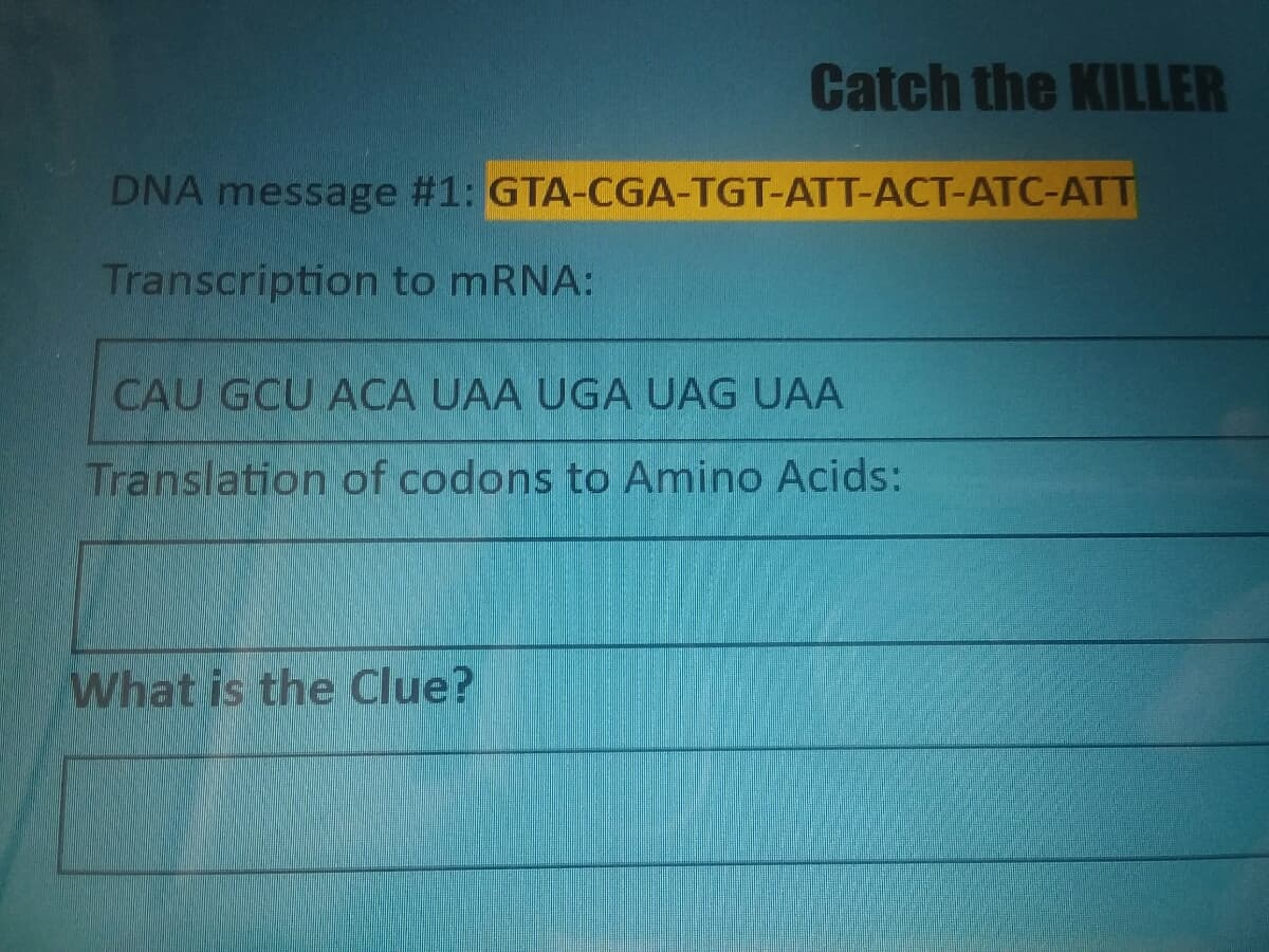 Catch the KILLER
DNA message #1: GTA-CGA-TGT-ATT-ACT-ATC-ATT
Transcription to mRNA:
CAU GCU ACA UAA UGA UAG UAA
Translation of codons to Amino Acids:
What is the Clue?
