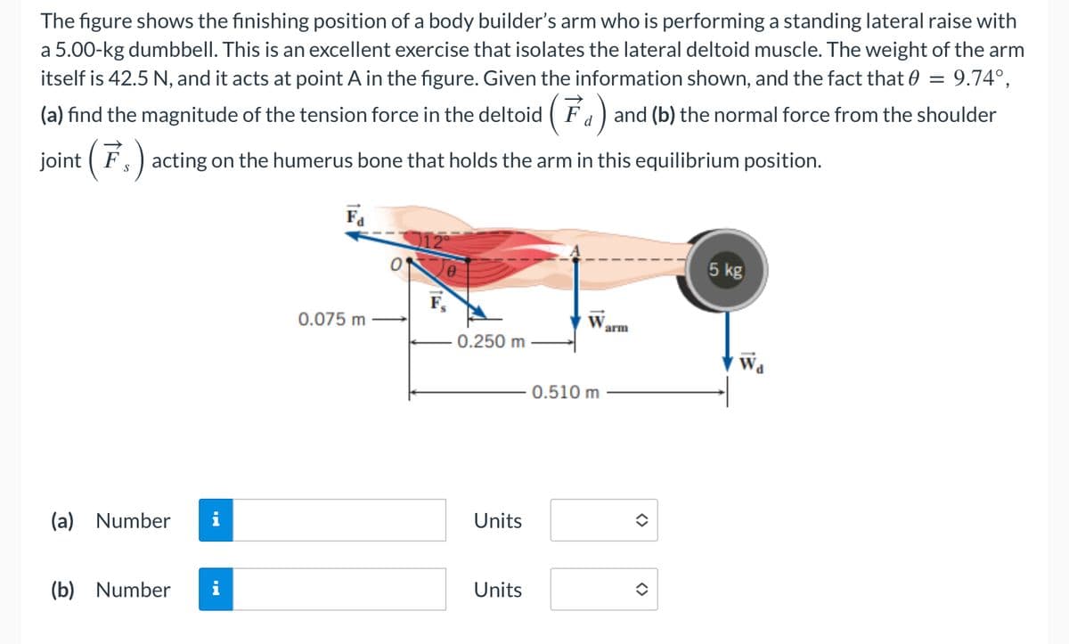 The figure shows the finishing position of a body builder's arm who is performing a standing lateral raise with
a 5.00-kg dumbbell. This is an excellent exercise that isolates the lateral deltoid muscle. The weight of the arm
itself is 42.5 N, and it acts at point A in the figure. Given the information shown, and the fact that 0 = 9.74°,
(a) find the magnitude of the tension force in the deltoid (F₁) and (b) the normal force from the shoulder
joint (F
acting on the humerus bone that holds the arm in this equilibrium position.
S
(a) Number
(b) Number i
Fa
0.075 m
O
12⁰
0.250 m
Units
Units
W arm
0.510 m
<>
5 kg
WA