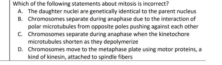 Which of the following statements about mitosis is incorrect?
A. The daughter nuclei are genetically identical to the parent nucleus
B. Chromosomes separate during anaphase due to the interaction of
polar microtubules from opposite poles pushing against each other
C. Chromosomes separate during anaphase when the kinetochore
microtubules shorten as they depolymerize
D. Chromosomes move to the metaphase plate using motor proteins, a
kind of kinesin, attached to spindle fibers
