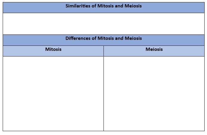 Mitosis
Similarities of Mitosis and Meiosis
Differences of Mitosis and Meiosis
Meiosis
