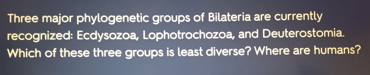 Three major phylogenetic groups of Bilateria are currently
recognized: Ecdysozoa, Lophotrochozoa, and Deuterostomia.
Which of these three groups is least diverse? Where are humans?
