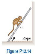 L
Rope
Figure P12.14
