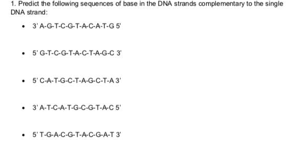 1. Predict the following sequences of base in the DNA strands complementary to the single
DNA strand:
• 3'A-G-T-C-G-T-A-C-A-T-G 5
• 5'G-T-C-G-T-A-C-T-A-G-C 3'
• 5'C-A-T-G-C-T-A-G-C-T-A 3'
• 3'A-T-C-A-T-G-C-G-T-A-C 5'
5'T-G-A-C-G-T-A-C-G-A-T 3'
