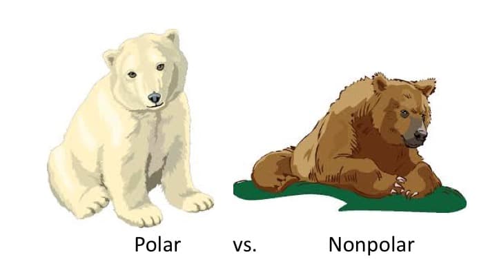 Polar
VS.
Nonpolar