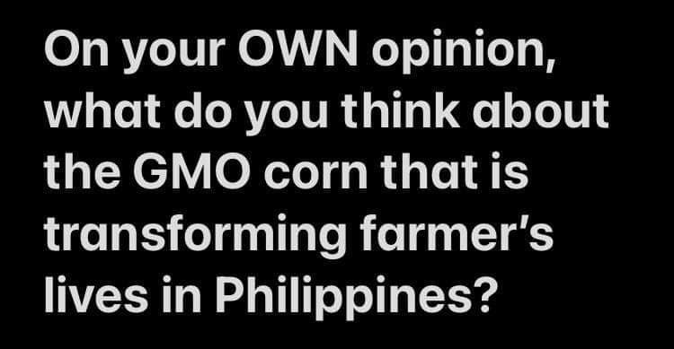 On your OWN opinion,
what do you think about
the GMO corn that is
transforming farmer's
lives in Philippines?
