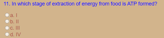 11. In which stage of extraction of energy from food is ATP formed?
a. I
O b. II
O c. II
d. IV
