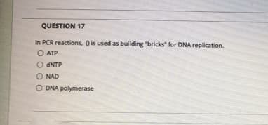 QUESTION 17
In PCR reactions, O is used as building "bricks" for DNA replication.
O ATP
O DNTP
O NAD
O DNA polymerase
