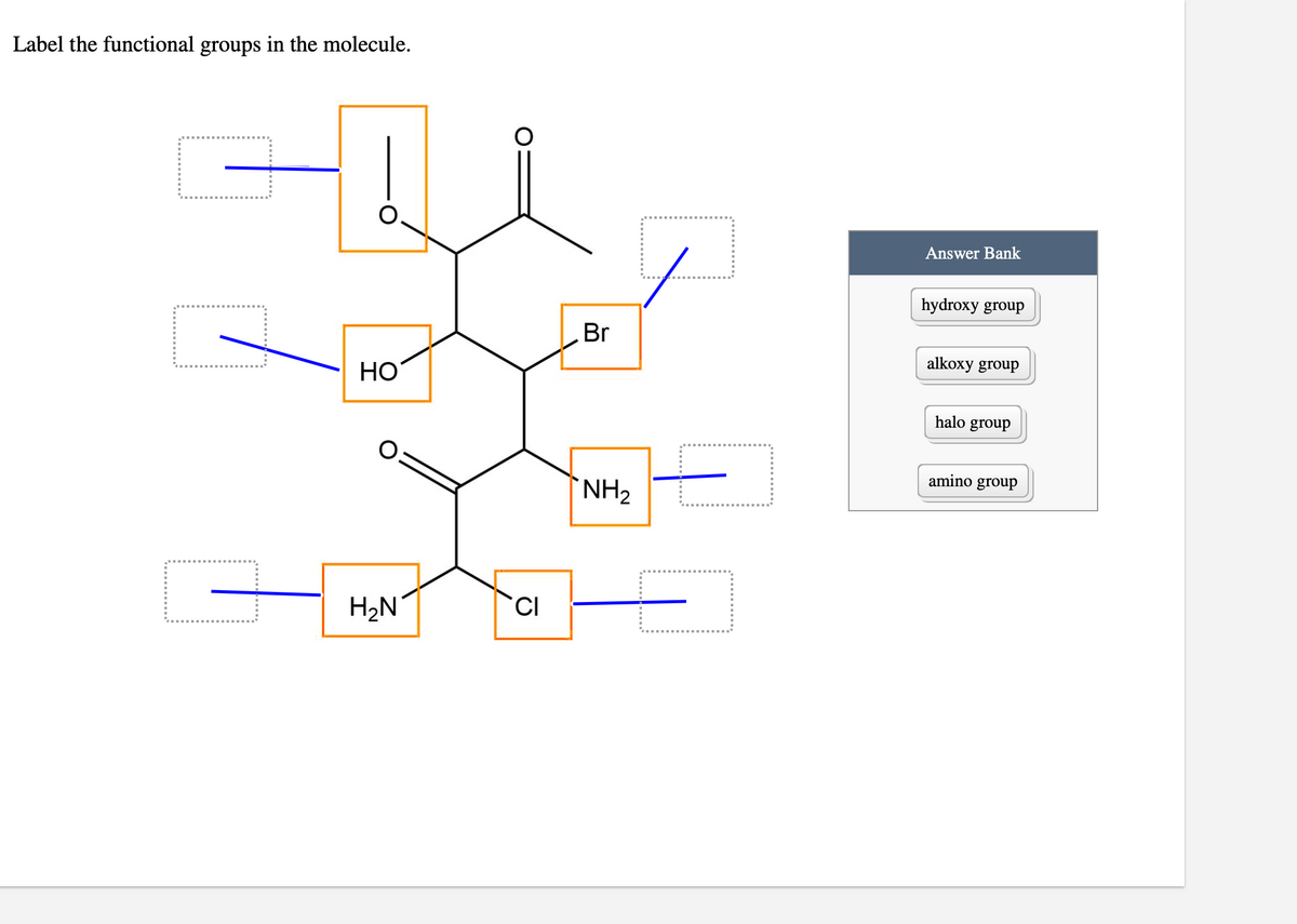 Label the functional groups in the molecule.
Answer Bank
hydroxy group
Br
alkoxy group
HO
halo group
amino group
NH2
H2N
