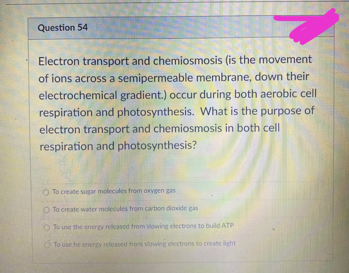 Question 54
Electron transport and chemiosmosis (is the movement
of ions across a semipermeable membrane, down their
electrochemical gradient.) occur during both aerobic cell
respiration and photosynthesis. What is the purpose of
electron transport and chemiosmosis in both cell
respiration and photosynthesis?
O To create sugar molecules from oxygen gas
O To create water molecules from carbon dioxide gas
OTo use the energy released from slowing electrons to build ATP
OTo usc he energy released from slowing electrons to create light
