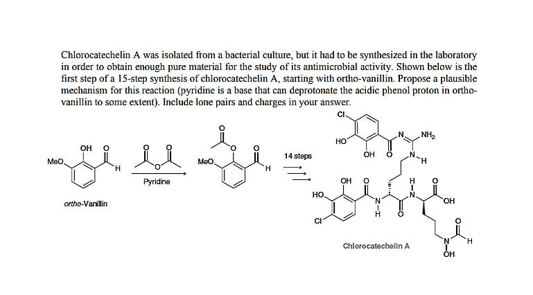 Chlorocatechelin A was isolated from a bacterial culture, but it had to be synthesized in the laboratory
in order to obtain enough pure material for the study of its antimicrobial activity. Shown below is the
first step of a 15-step synthesis of chlorocatechelin A, starting with ortho-vanillin. Propose a plausible
mechanism for this reaction (pyridine is a base that can deprotonate the acidic phenol proton in ortho-
vanillin to some extent). Include lone pairs and charges in your answer.
CI.
NH2
HO
он
14 steps
OH
Meo
Meo
H.
Pyridine
OH
но
N.
ortho-Vanilin
N.
HO.
N.
H.
Chlorocatechelin A
OH
