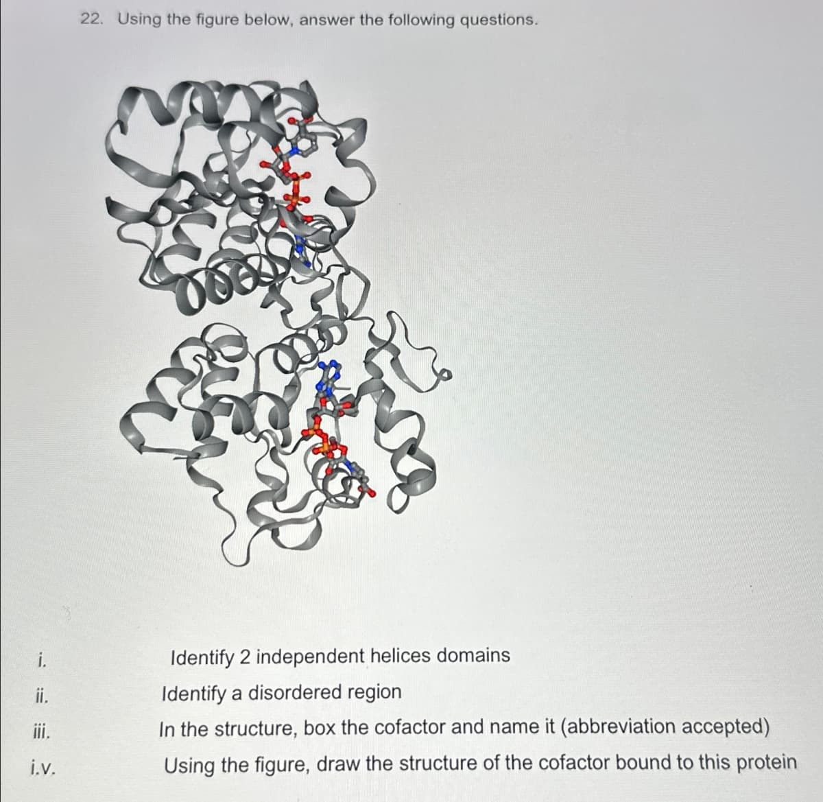 i.
ii.
i.v.
22. Using the figure below, answer the following questions.
Identify 2 independent helices domains
Identify a disordered region
In the structure, box the cofactor and name it (abbreviation accepted)
Using the figure, draw the structure of the cofactor bound to this protein