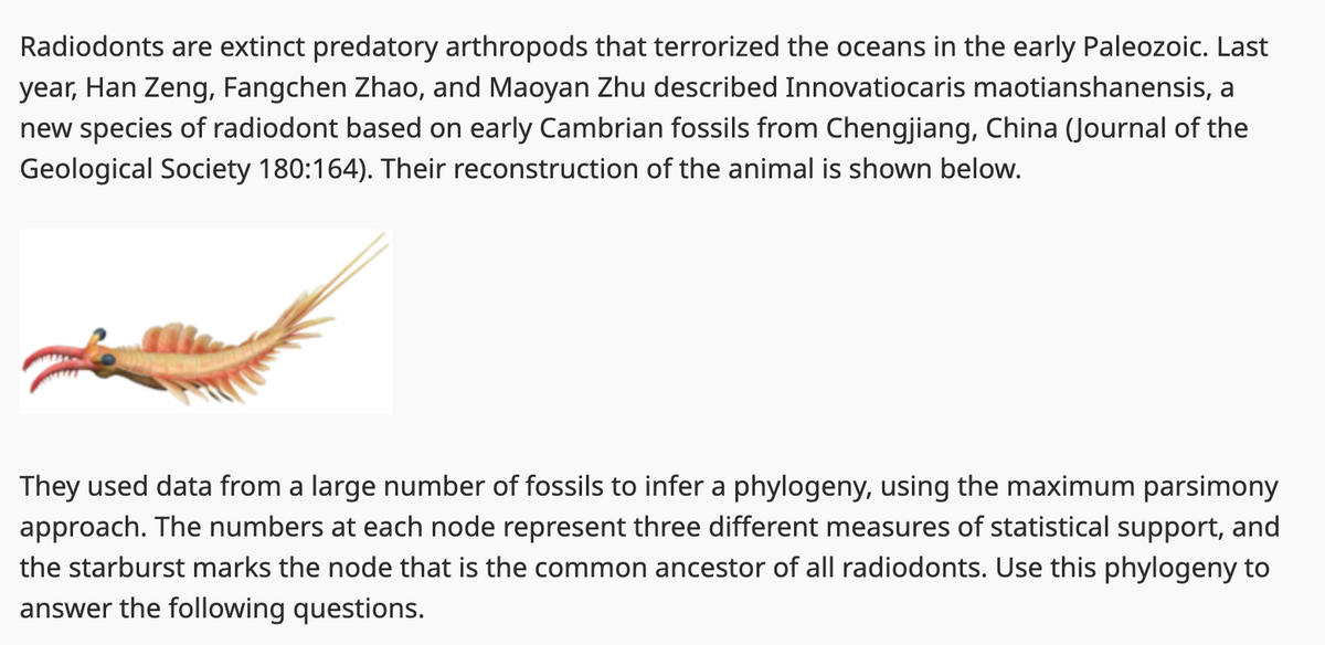Radiodonts are extinct predatory arthropods that terrorized the oceans in the early Paleozoic. Last
year, Han Zeng, Fangchen Zhao, and Maoyan Zhu described Innovatiocaris maotianshanensis, a
new species of radiodont based on early Cambrian fossils from Chengjiang, China (Journal of the
Geological Society 180:164). Their reconstruction of the animal is shown below.
They used data from a large number of fossils to infer a phylogeny, using the maximum parsimony
approach. The numbers at each node represent three different measures of statistical support, and
the starburst marks the node that is the common ancestor of all radiodonts. Use this phylogeny to
answer the following questions.