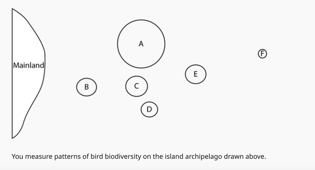 Mainland
A
F
E
B
C
D
You measure patterns of bird biodiversity on the island archipelago drawn above.