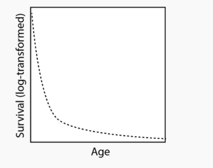 Survival (log-transformed)
Age