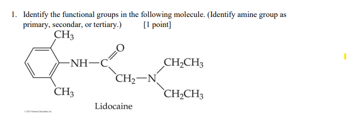 1. Identify the functional groups in the following molecule. (Identify amine group as
primary, secondar, or tertiary.)
[1 point]
CH3
NH–C
CH3
O
CH₂-N
Lidocaine
CH₂CH3
CH₂CH3